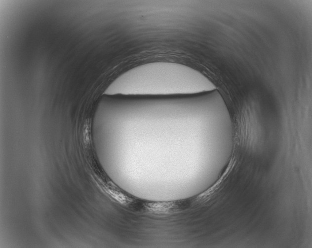 X0000084000191200702160806