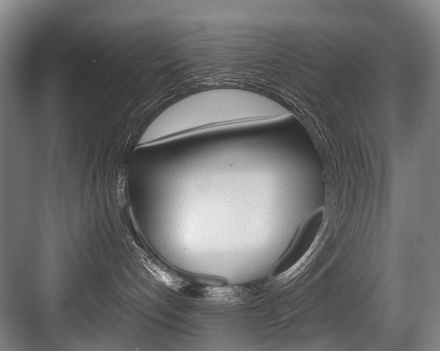 X0000084000192200702160806