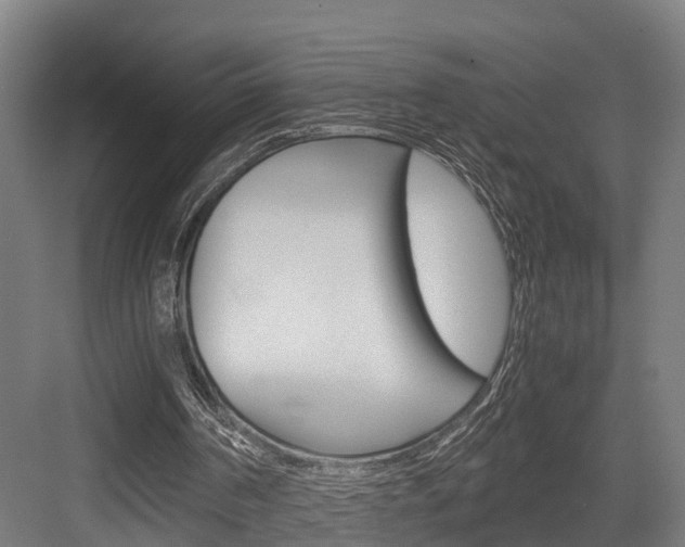 X0000084000194200702160805