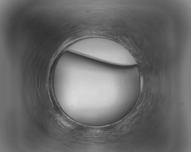 X0000084000195200702160805