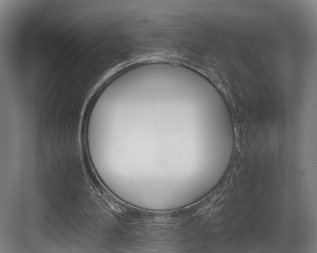 X0000084000196200702160805