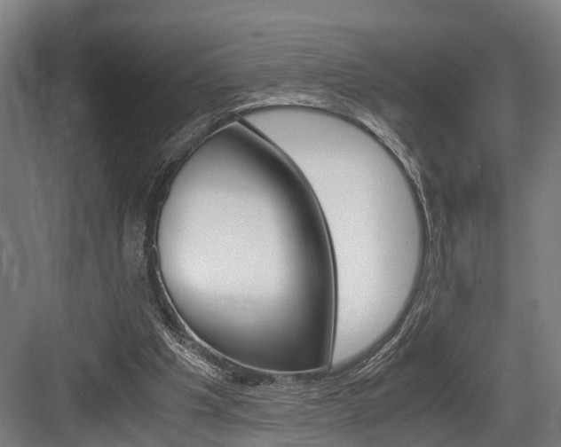 X0000084000201200702160805
