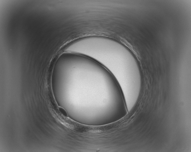 X0000084000203200702160805