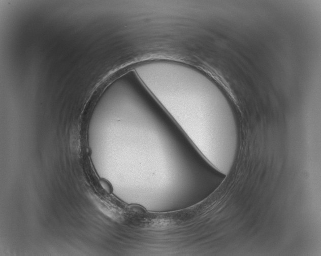 X0000084000204200702160805