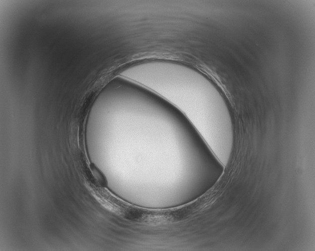 X0000084000205200702160805