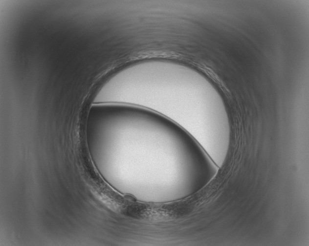 X0000084000207200702160805