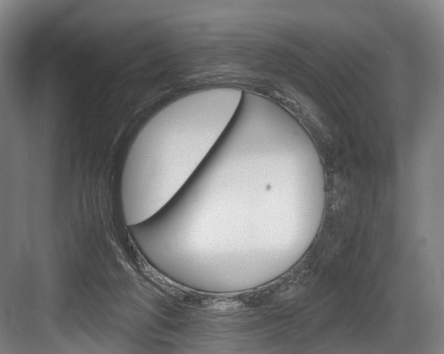 X0000084000210200702160805