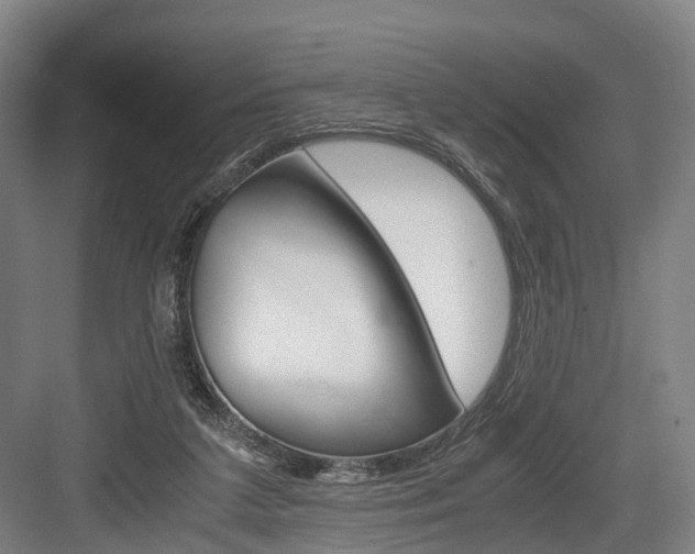 X0000084000211200702160805