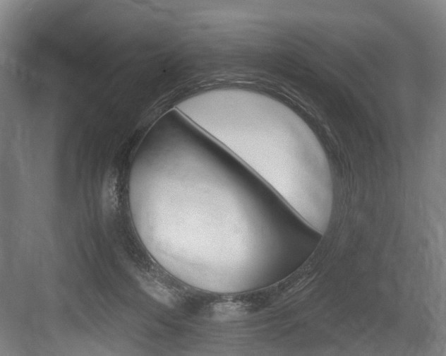 X0000084000216200702160805