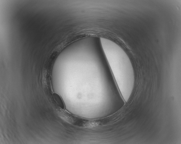 X0000084000217200702160805
