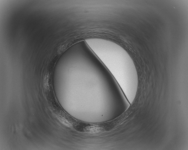 X0000084000219200702160805