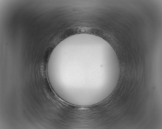 X0000084000222200702160805