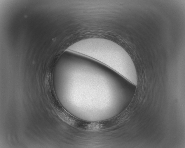 X0000084000225200702160805
