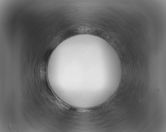 X0000084000226200702160805