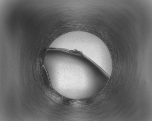 X0000084000229200702160804