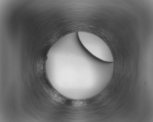 X0000084000230200702160804