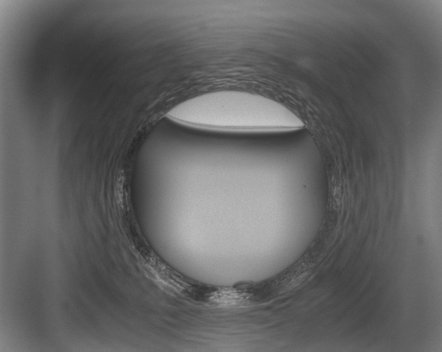 X0000084000231200702160804