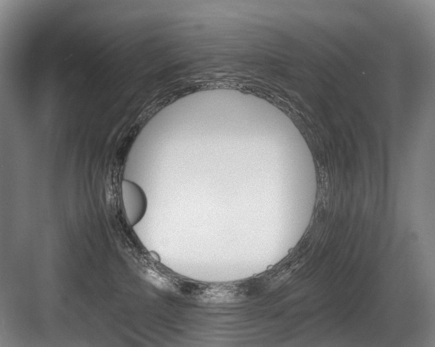 X0000084000236200702160804
