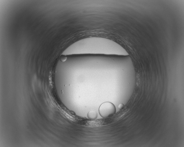 X0000084000238200702160804