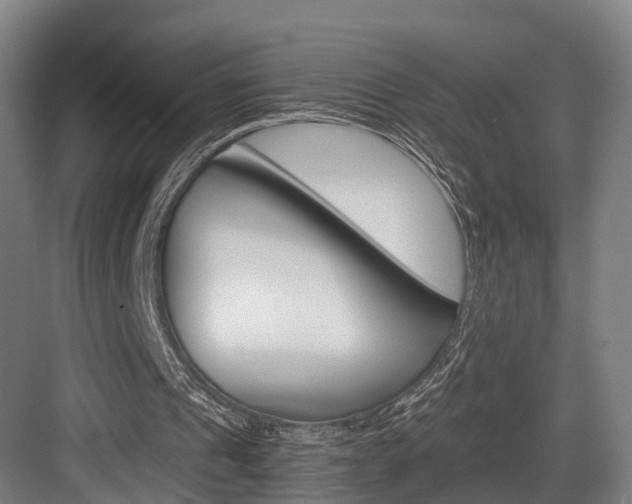 X0000084000241200702160803