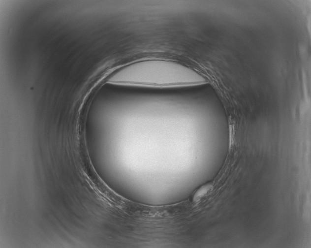 X0000084000243200702160804