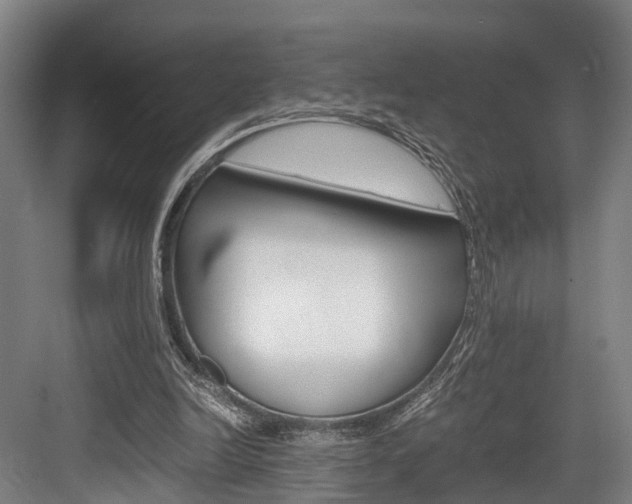 X0000084000246200702160804