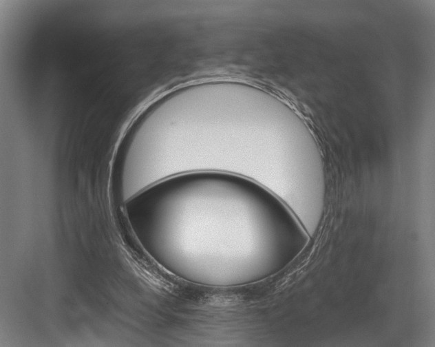 X0000084000248200702160804