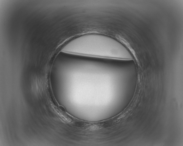 X0000084000249200702160804
