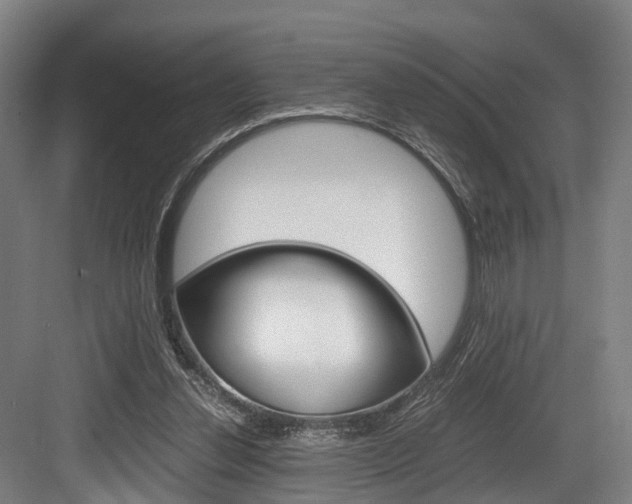 X0000084000252200702160804