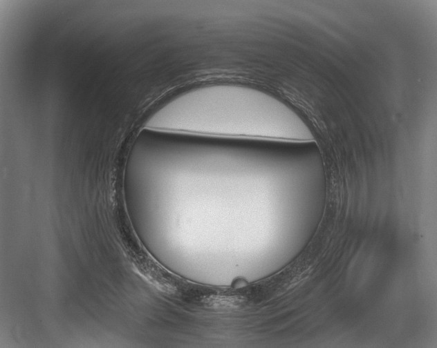 X0000084000255200702160804