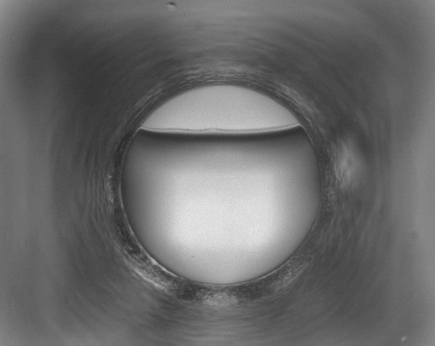 X0000084000258200702160804