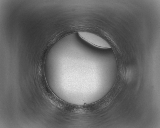 X0000084000259200702160804