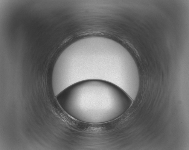X0000084000260200702160804