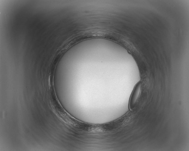 X0000084000262200702160804