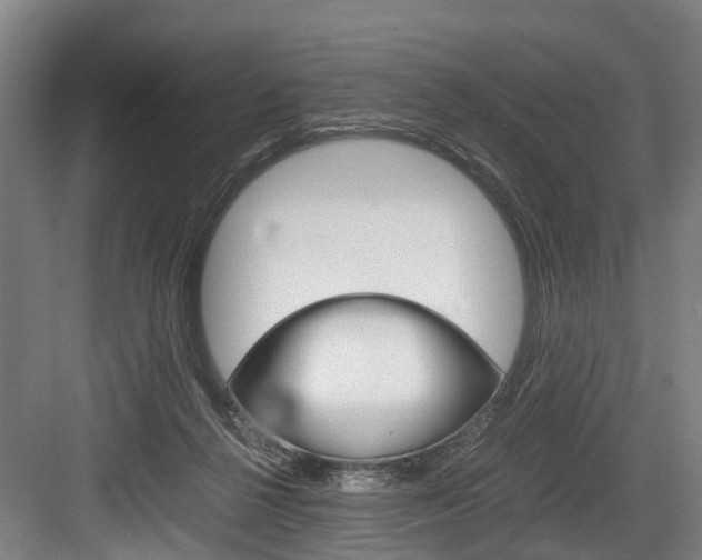X0000084000264200702160804