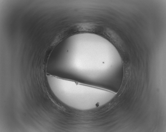 X0000084000265200702160804