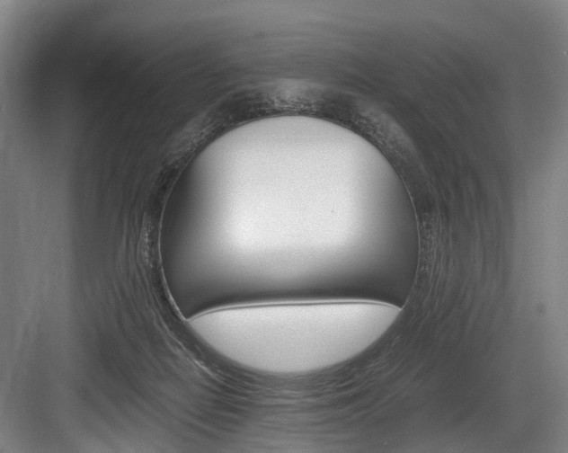 X0000084000266200702160804