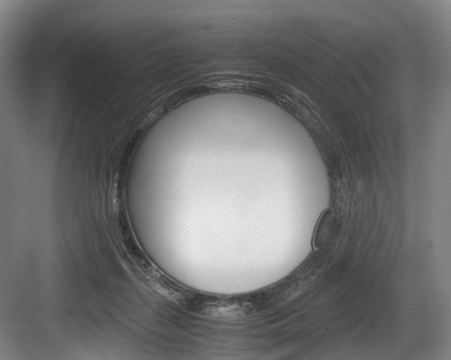X0000084000267200702160804