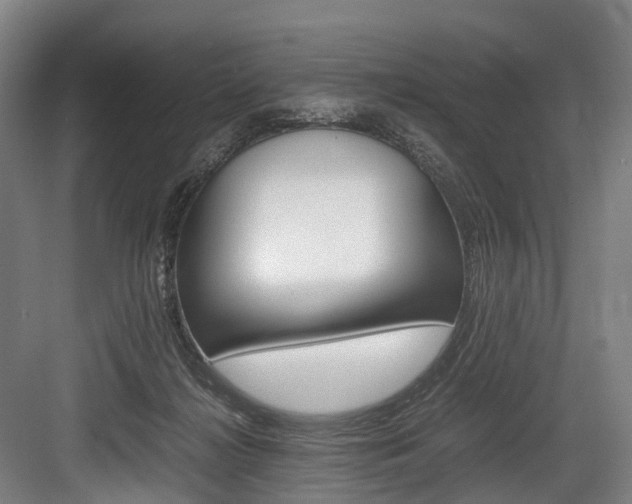 X0000084000268200702160804