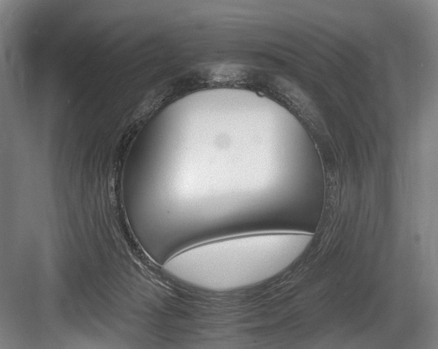 X0000084000269200702160804