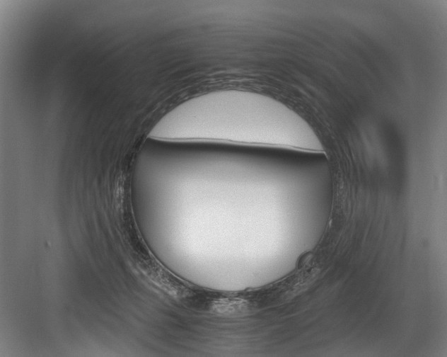 X0000084000271200702160804