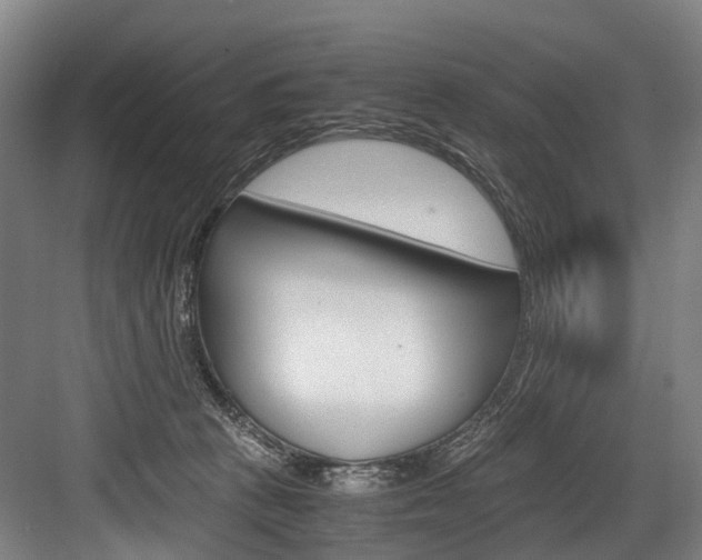 X0000084000273200702160804