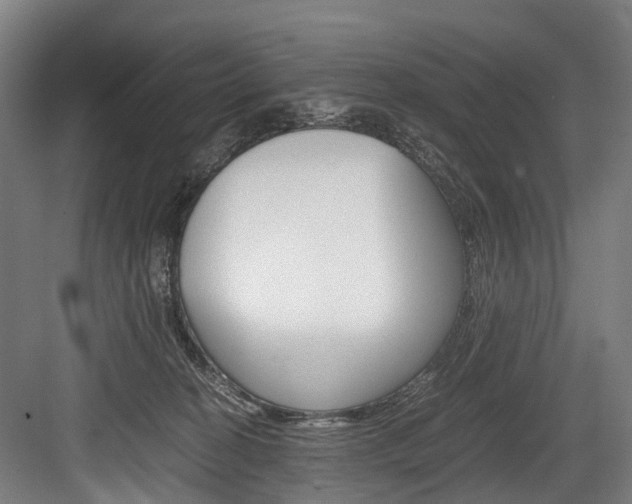 X0000084000274200702160804