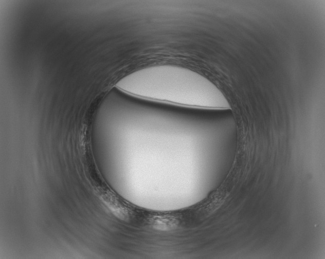 X0000084000275200702160804
