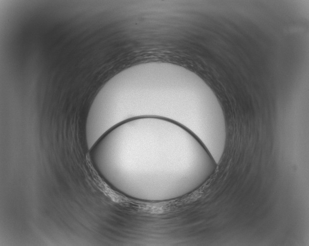 X0000084000276200702160804