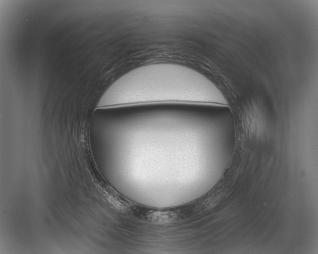 X0000084000277200702160804