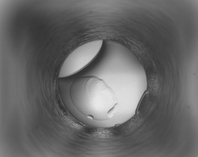 X0000084000278200702160804