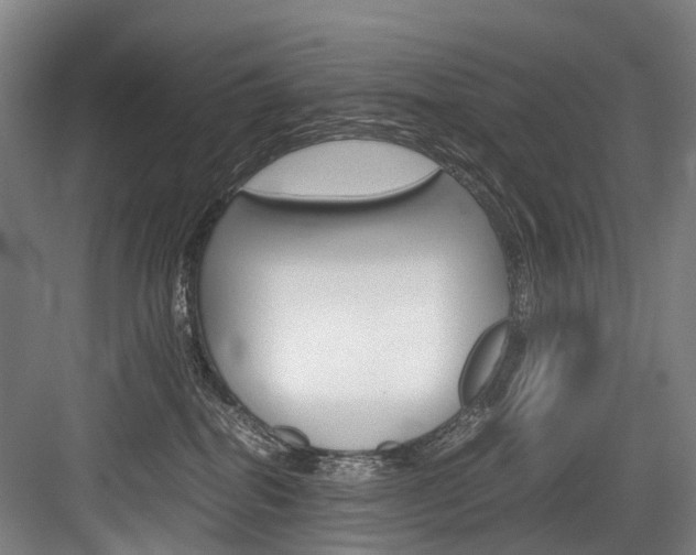 X0000084000282200702160804