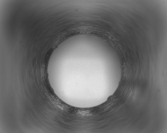 X0000084000283200702160804