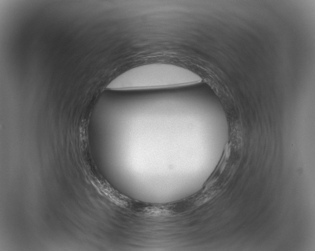 X0000084000284200702160804